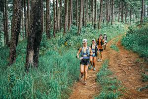 BIB: 
                            <button type="button" onclick="openModal(25654439)" class="btn btn-primary btn-sm float-right btn-popup" data-toggle="modal" data-target=".modal-high-quality">
                        <i class="fas fa-shopping-cart"></i> Add to Cart
                    </button>
                                            <button type="button" onclick="isThisMe(25654439, true)" class="btn btn-success btn-sm float-right btn-popup btn-isme hidden" data-toggle="tooltip" data-placement="bottom" title="นี่คือรูปของคุณใช่ไหม คลิกที่นี่เพื่อเอาเข้าอัลบั้ม">
                        <i class="fas fa-plus"></i> Add to album
                    </button>
                    <button type="button" onclick="isThisMe(25654439, false)" class="btn btn-warning btn-sm float-right btn-popup btn-isnotme hidden">
                        <i class="fas fa-ban"></i> Remove from album
                    </button>